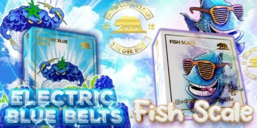 Electric Blue Belts / Fish Scale Summer Edition Picture