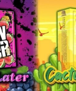 Now n Later / Cactus Cooler Summer Edition picture