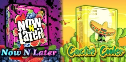 Now n Later / Cactus Cooler Summer Edition picture